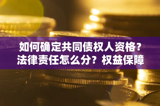 北京如何确定共同债权人资格？法律责任怎么分？权益保障技巧揭秘！