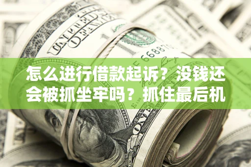北京怎么进行借款起诉？没钱还会被抓坐牢吗？抓住最后机会！
