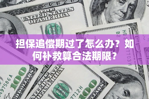 北京担保追偿期过了怎么办？如何补救算合法期限？