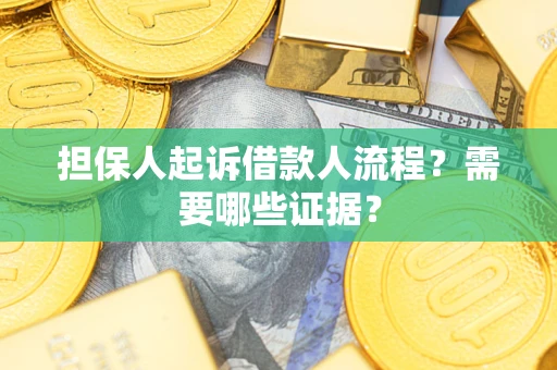 北京担保人起诉借款人流程？需要哪些证据？